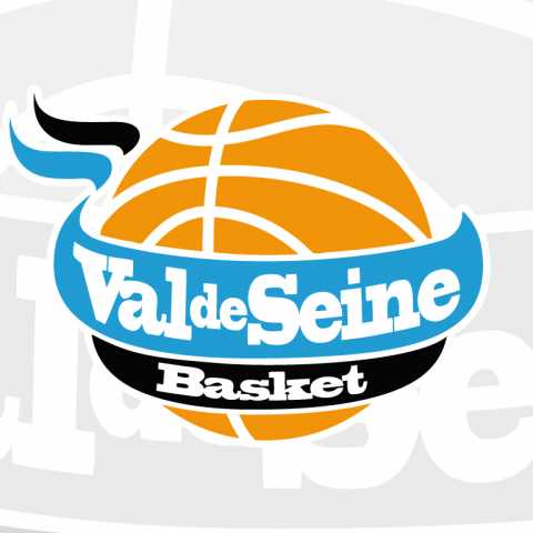 Logo "Val de Seine Basket"