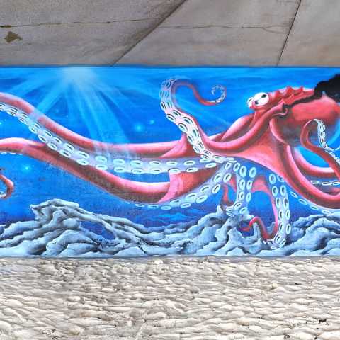 Graffiti Jam “Les pieds dans l’eau”