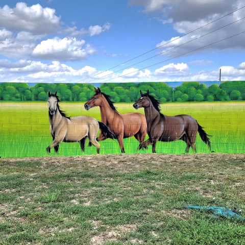 Fresque nature et chevaux