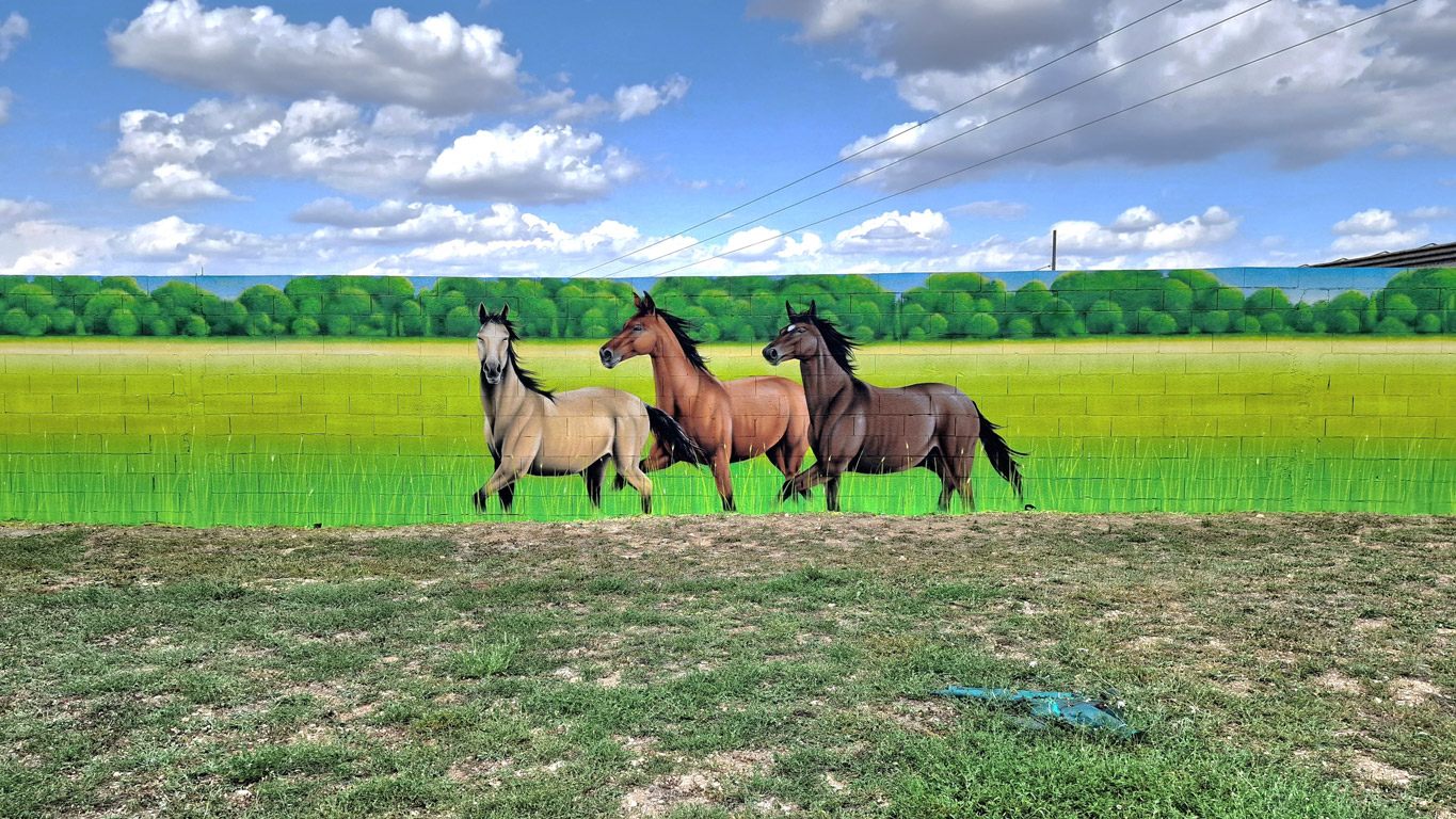 Fresque nature chevaux