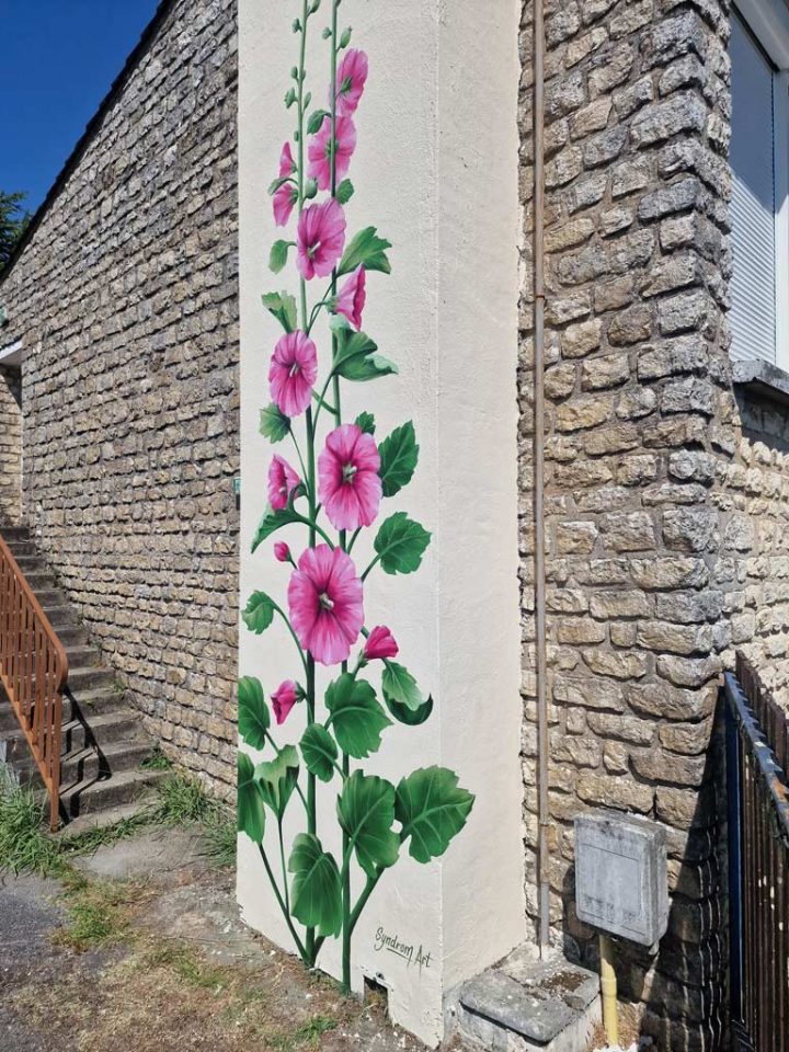 Roses Trémières pour la ville de Pons