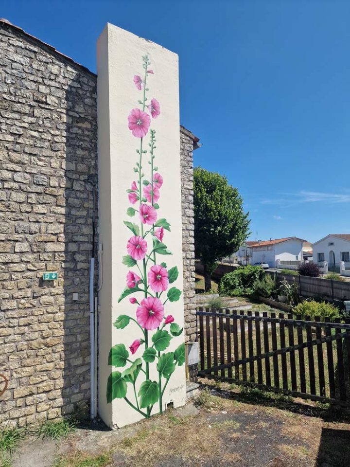 Roses Trémières pour la ville de Pons