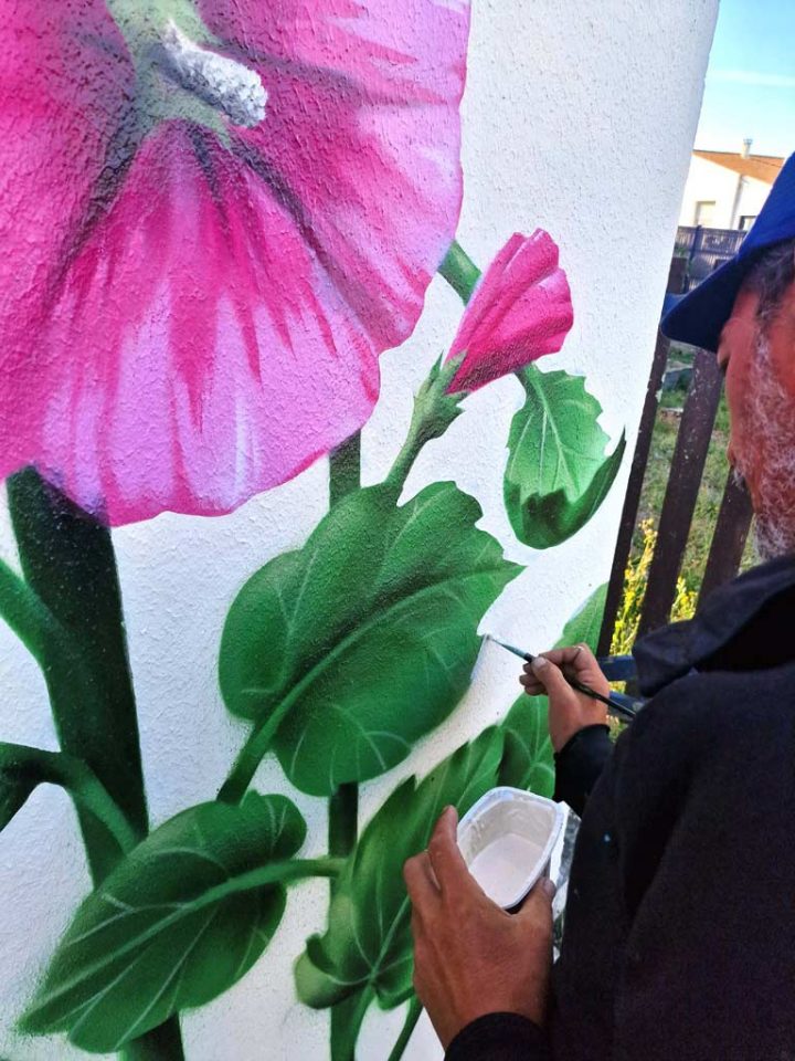 Roses Trémières pour la ville de Pons