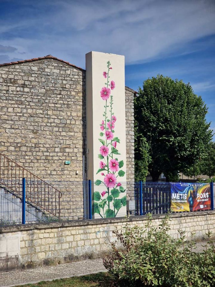Roses Trémières pour la ville de Pons