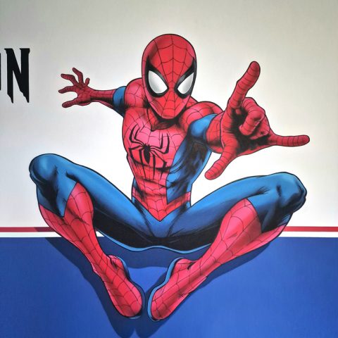 Déco Spider-Man et Hulk