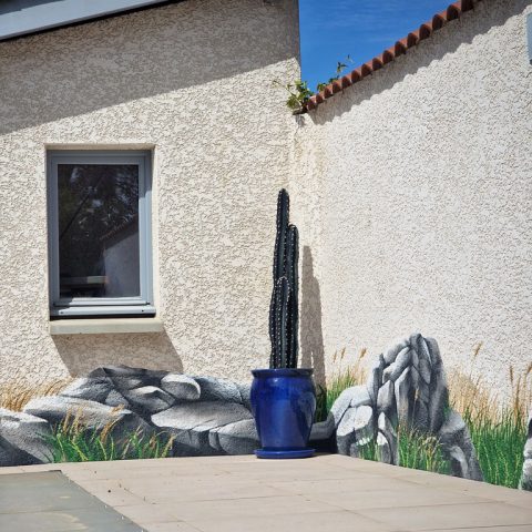 Rochers et grandes herbes