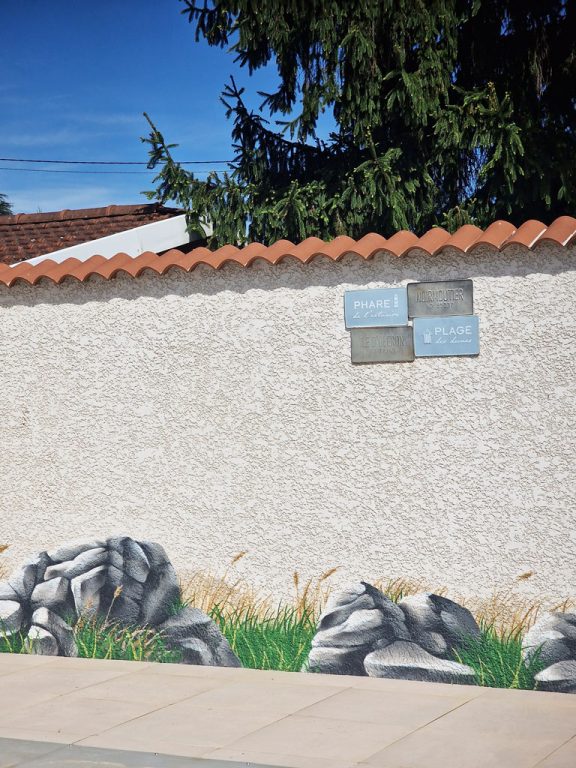 Rochers et grandes herbes