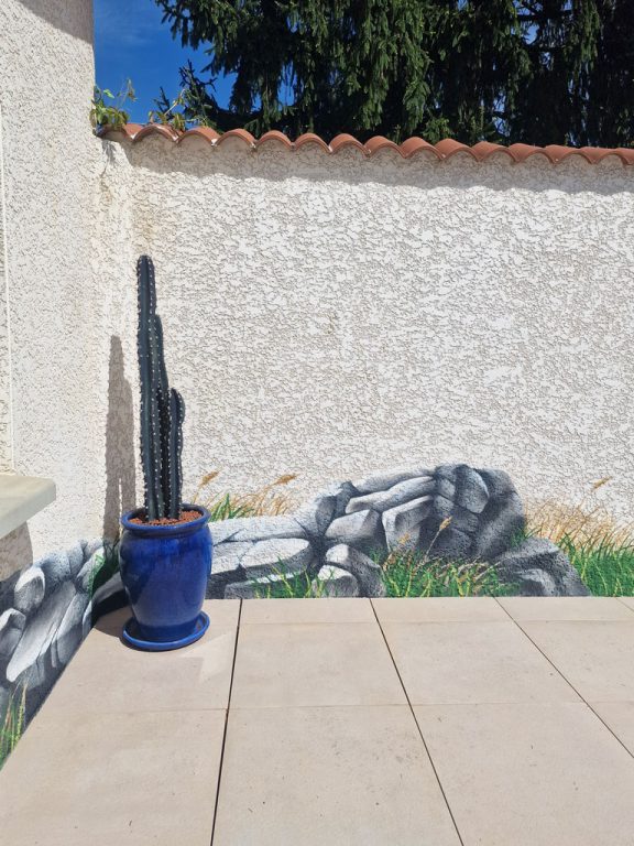 Rochers et grandes herbes