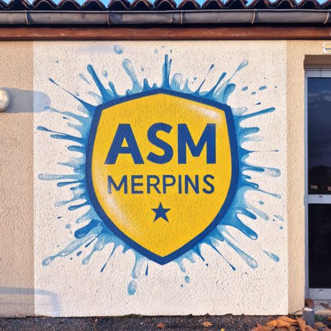 Logo pour l&rsquo;AS Merpins