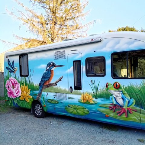 Camping-car Fleurette Discover